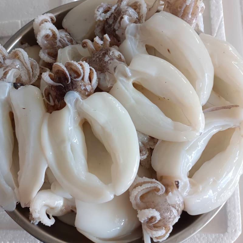 หมึกกระดอง 100 กิโล
